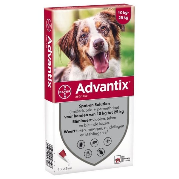 ADVANTIX 250/1250 | Hund 10-25kg | 4St.